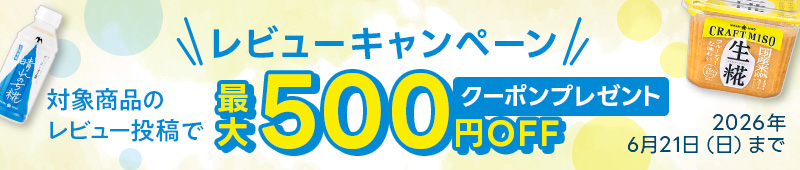 レビューキャンペーン