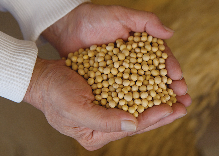 厳選されたオーガニック原料