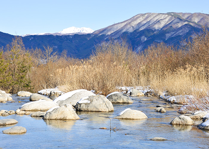 きれいな水と空気が育む味噌󠄀